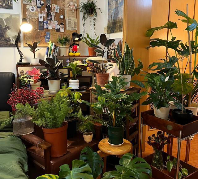 建议大家：不管卧室多大，尽量别放这4样东西，看完转告家里人！