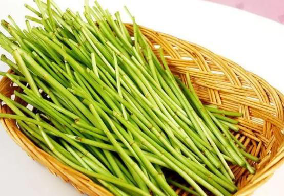 医生提醒：春天，这七种野菜尽量不要碰，不少人还将其当作宝！