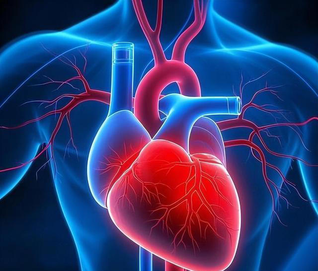 米酒再次被发现！提醒：血栓患者喝米酒，或出现6大变化