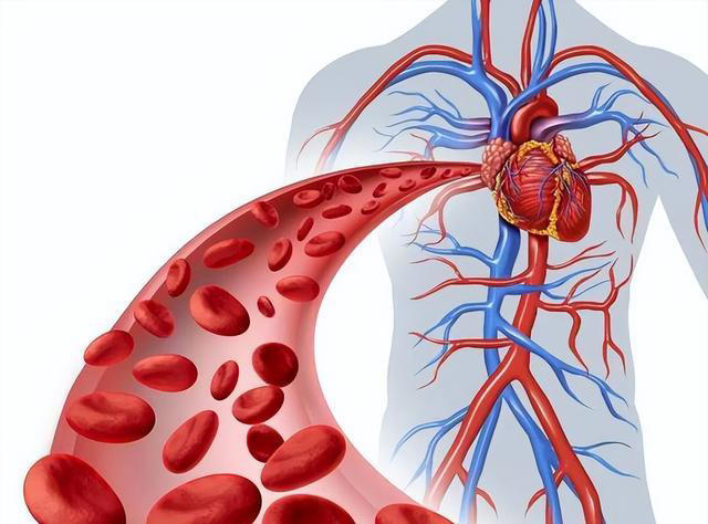 米酒再次被发现！提醒：血栓患者喝米酒，或出现6大变化