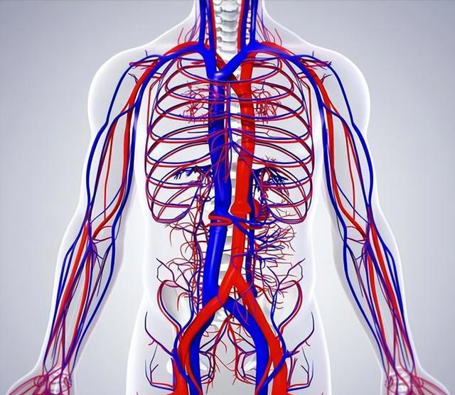 米酒再次被发现！提醒：血栓患者喝米酒，或出现6大变化