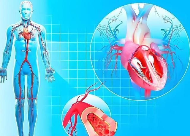 米酒再次被发现！提醒：血栓患者喝米酒，或出现6大变化