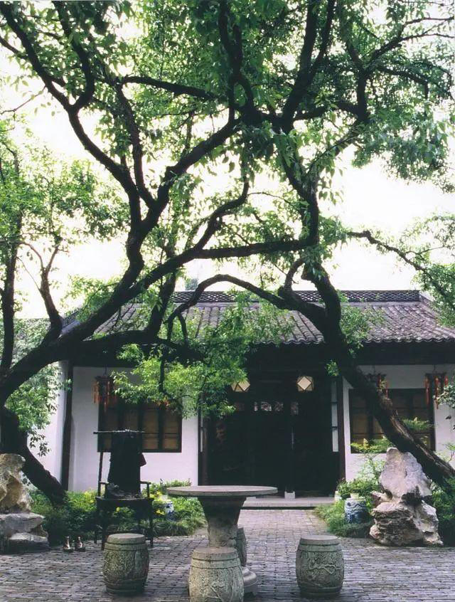 4种树“自带体香”，家有小院养一棵，很好闻