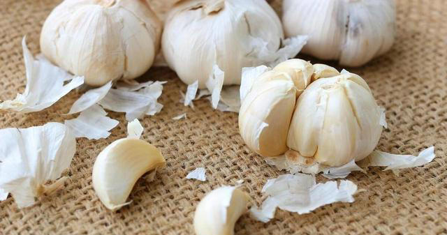 花盆里撒一把，不管多难养的花，叶绿根壮长势旺，不黄叶不烂根