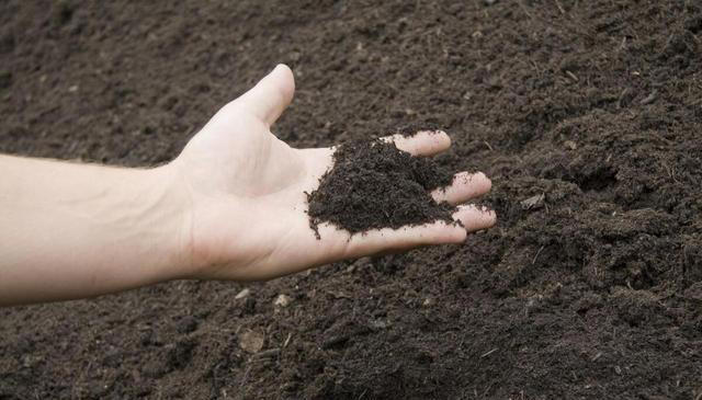 花盆里撒一把，不管多难养的花，叶绿根壮长势旺，不黄叶不烂根