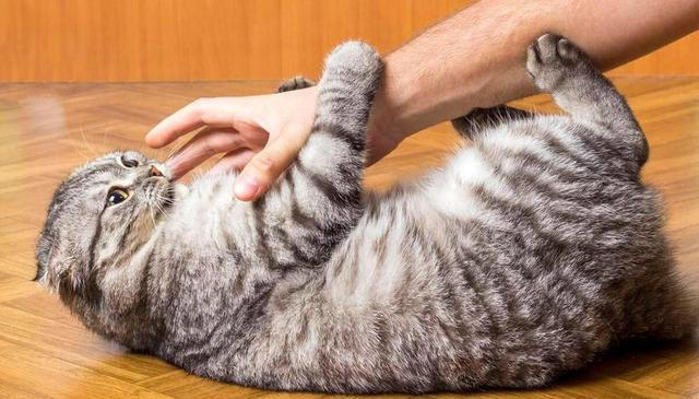 花盆里撒一把，不管多难养的花，叶绿根壮长势旺，不黄叶不烂根