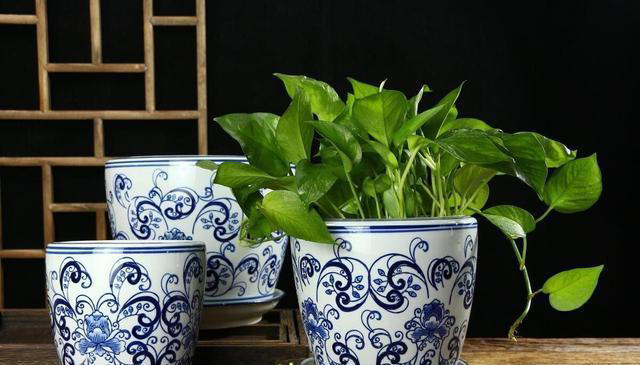 花盆里撒一把，不管多难养的花，叶绿根壮长势旺，不黄叶不烂根