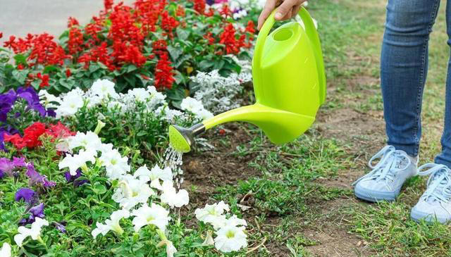 花盆里撒一把，不管多难养的花，叶绿根壮长势旺，不黄叶不烂根