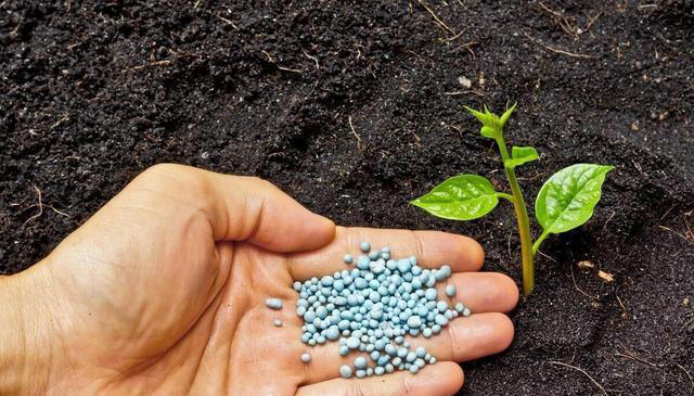 花盆里撒一把，不管多难养的花，叶绿根壮长势旺，不黄叶不烂根