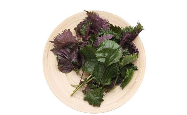 医生提醒：5种青菜高血压要少吃，小心让血压上涨，喜欢也要注意