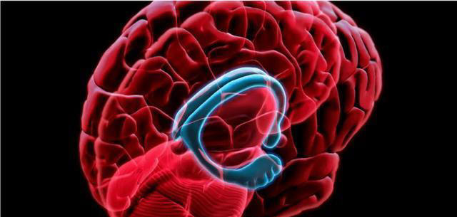 阿尔茨海默病者逐渐增多，50岁后，尽量改掉4个坏习惯