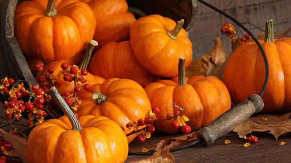 南瓜是高镁食物? 医生再次强调:心脏不好的人,要常吃这5种蔬果