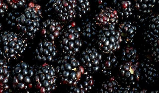 研究发现：对大脑特别好的2类食物，经常换着吃，可延缓大脑衰退