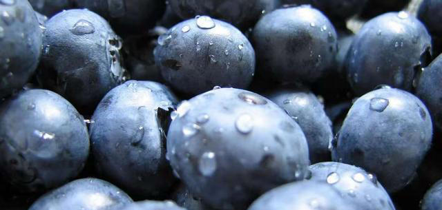 研究发现：对大脑特别好的2类食物，经常换着吃，可延缓大脑衰退