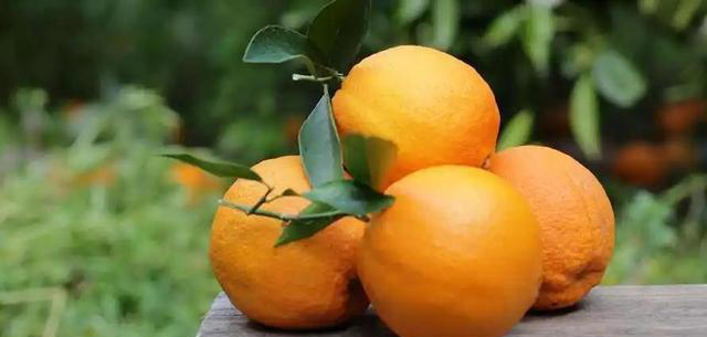 橙子立大功！医生发现：橙子可能对4种慢性病有好处！可以常吃