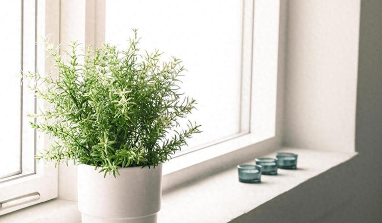 中年以后，真正聪明的人，都选择 “低配”生活，而不是“高配”