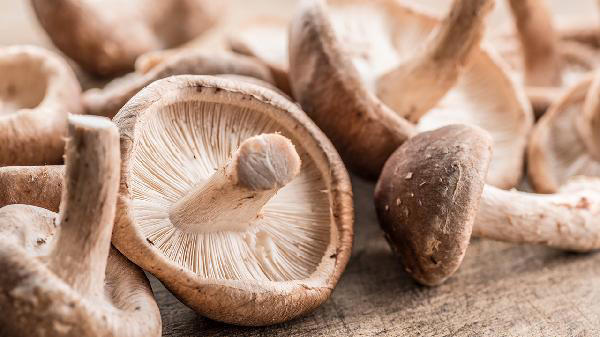 香菇虽好但这3类人慎吃! 医生警告：吃错可能伤身