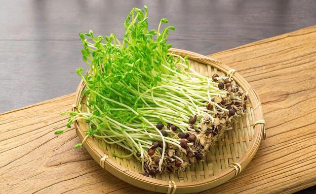 特别适合在春天吃的菜，对肝脏很友好