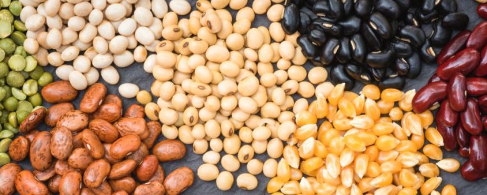 怎样调养平和体质 平和体质该如何调养 平和体质的人如何饮食调养