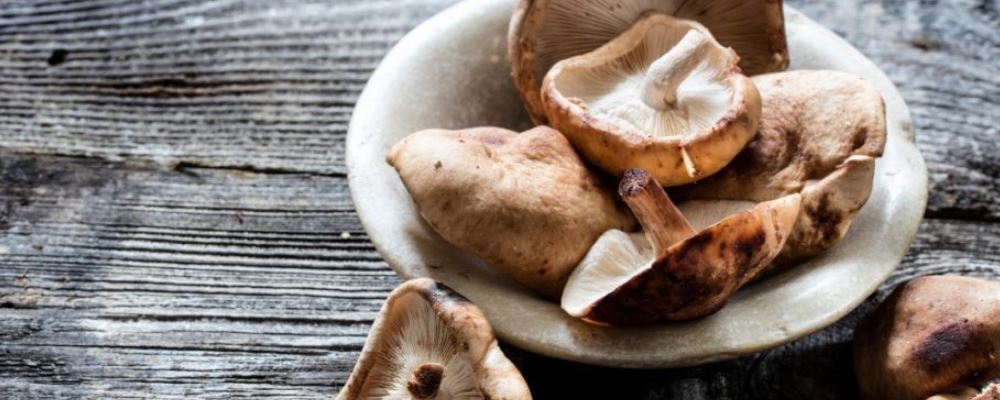 血瘀体质的人如何养生 血瘀体质如何调理 血瘀体质调理食谱