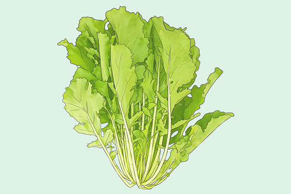 美食与身材也能和平共处 5个饮食减肥小妙招