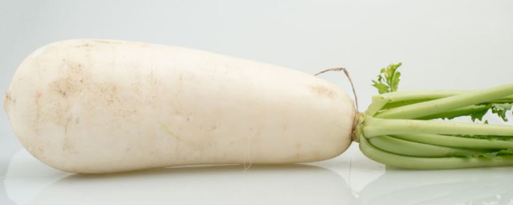 痰湿体质吃什么好 痰湿体质如何调理 痰湿体质食谱