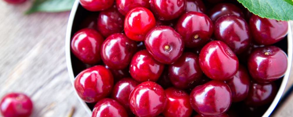 平和体质养生 平和体质养生法 平和体质养生饮食