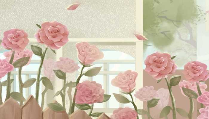 山东平阴玫瑰花茶有何功效，花茶怎么喝