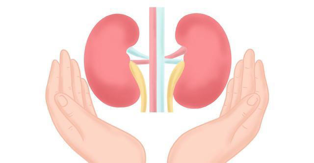 学医后才知道，肾病最危险信号，不是腰酸，而是持续出现4种异常