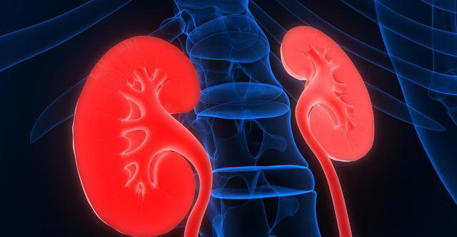 学医后才知道，肾病最危险信号，不是腰酸，而是持续出现4种异常
