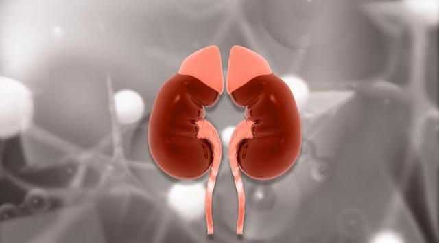 学医后才知道，肾病最危险信号，不是腰酸，而是持续出现4种异常