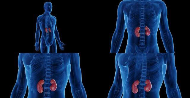 学医后才知道，肾病最危险信号，不是腰酸，而是持续出现4种异常