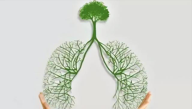 睡觉时有这3种表现，说明肺出了大问题，该注意了！