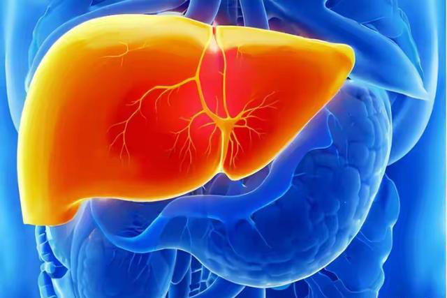 枸杞这样吃很危险！医生多次提醒：很多人还在继续吃，要尽快改正