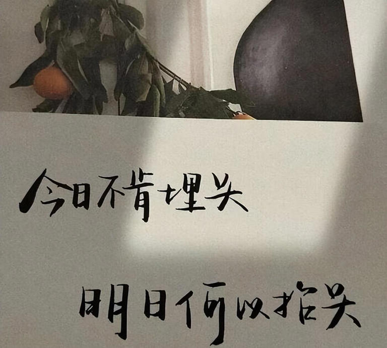 人生最难的时候，一定要读读这6句话，句句在理，值得收藏！