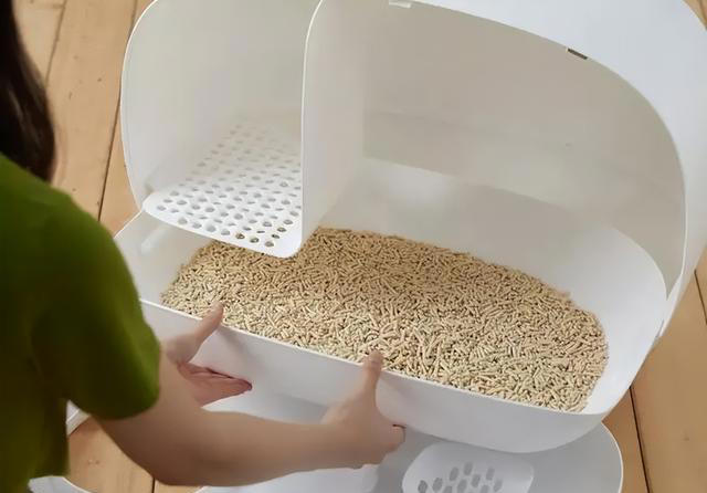 这几种猫咪是“三好学生”性格好、体味香、颜值高！