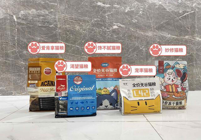 这几种猫咪是“三好学生”性格好、体味香、颜值高！