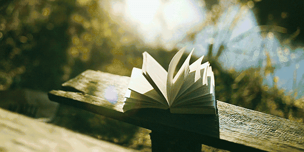 人生，唯有锻炼与读书不能辜负