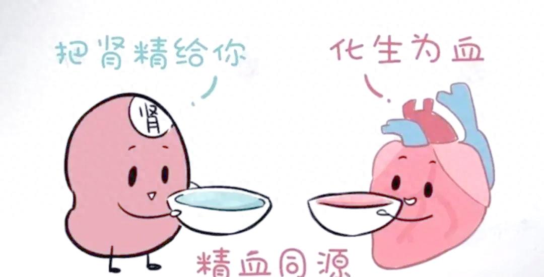 长寿最大的王牌是精血，一个方子两味药，补肝补肾，补精补血