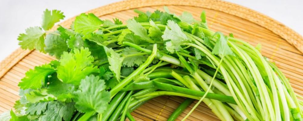 春天来了 湿热体质该如何调理