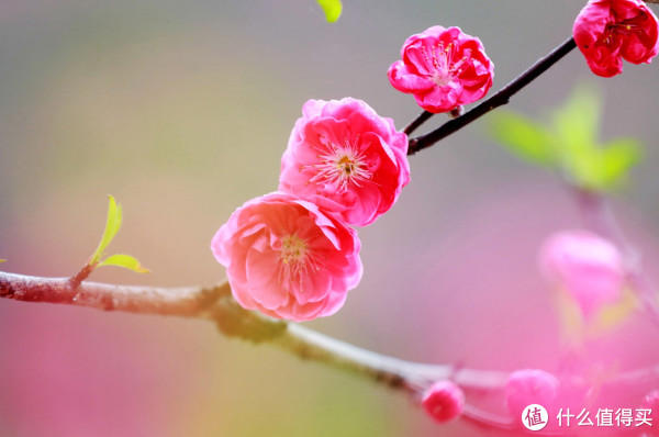 未婚男女必看：这7种家庭，嫁/娶前一定要三思