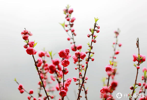 未婚男女必看：这7种家庭，嫁/娶前一定要三思