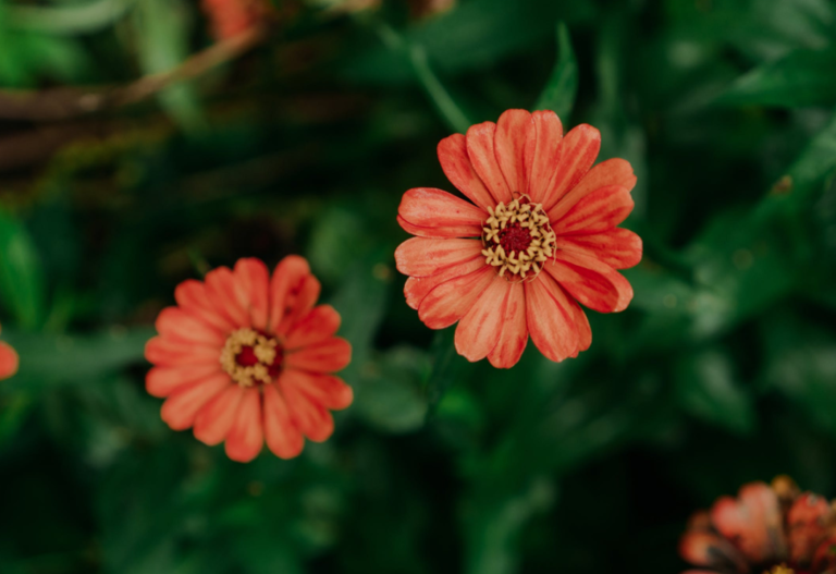 真正困住你的不是这个世界，而是你对世界的认知！