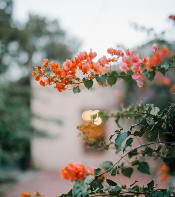 清醒的人生，需要在关键处停下脚步