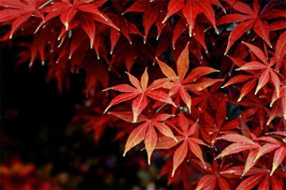 夜读丨强大自己，才是你一生的底气