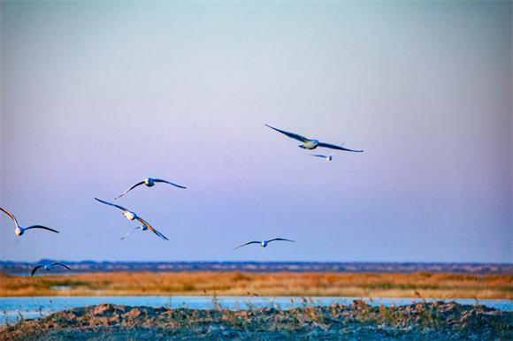 夜读丨强大自己，才是你一生的底气