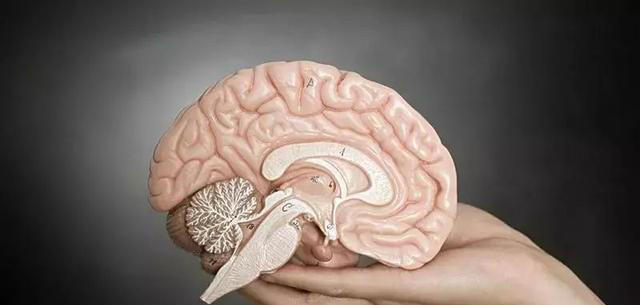 啥是脑供血不足？有什么表现？日常改变8个习惯，保护血管健康！