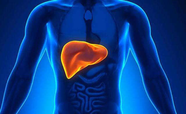 早上要注重养肝，少吃馒头，多吃这几样食物，养肝护胃身体好