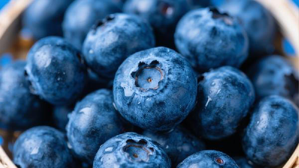 蓝莓好吃，但是别贪吃！肠道里全是亮晶晶的“石头” 