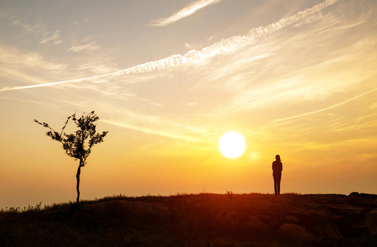 活了大半辈子才懂：真正属于你的，就这4样!